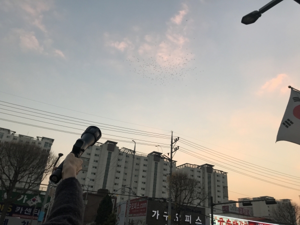 사진제공 : 수원시