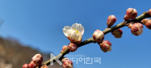 사진 박혜범 논설위원