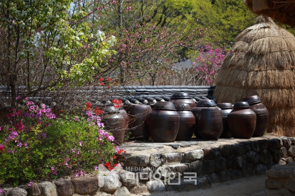 어머니의 장독대