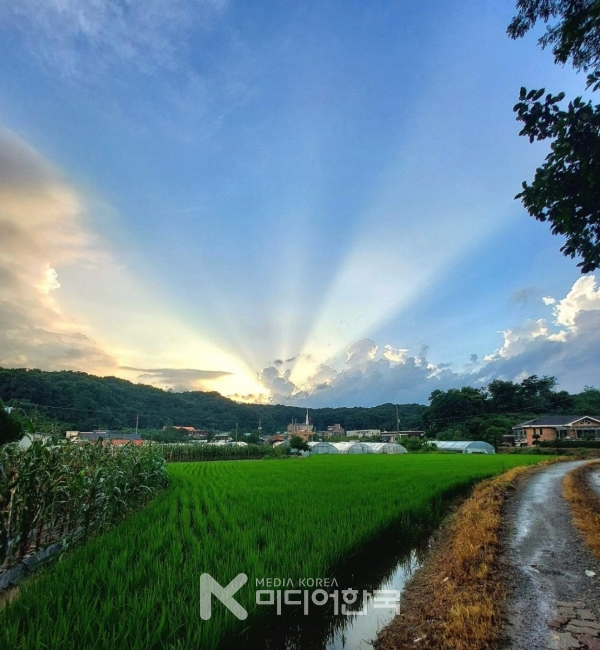 사진 본지 박영한 논설위원
