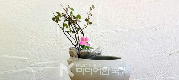 사진 설명: 내 마음을 흔들어 버린 한 송이 이름 모를 꽃이다