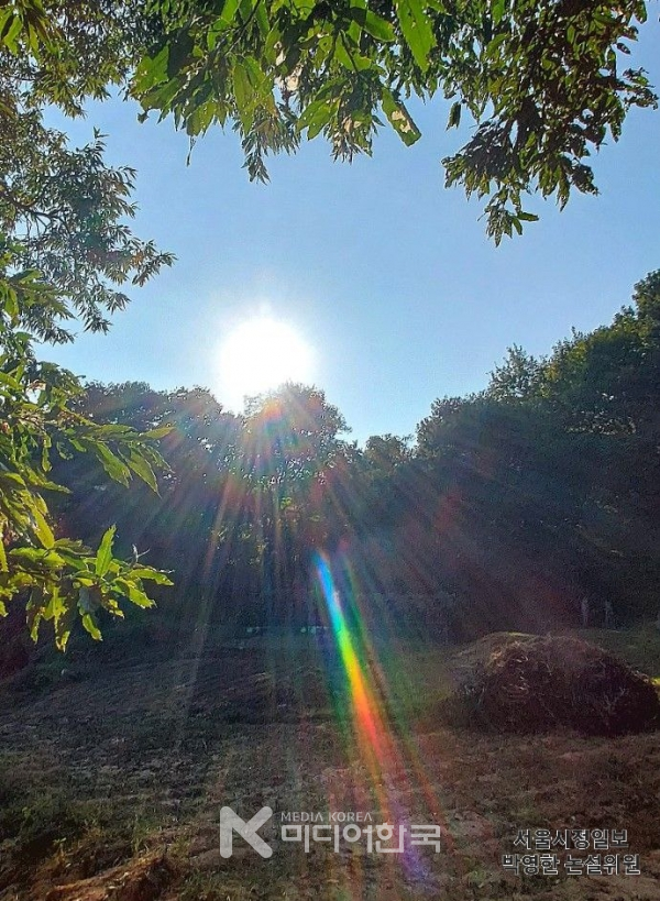 박영한 심사위원장