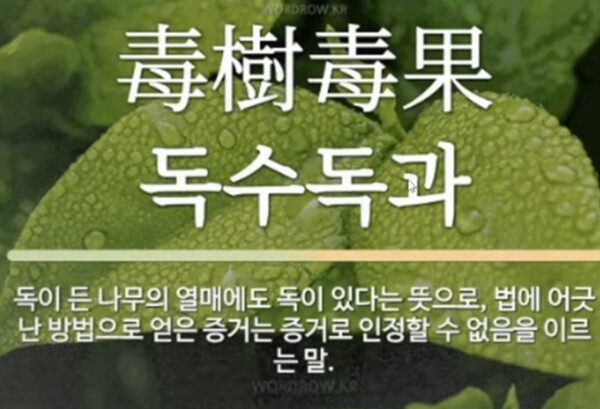 독수독과 빨갱이는 시작과 끝이 빨갱이 