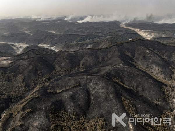 사진 설명: 산불이 모든 것을 태워버린 처참한 영남의 산야다.