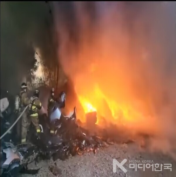 괴물 산불과의 혈투를 하는 영웅의 소방대원