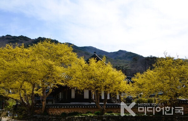 삶의 노스텔지어. 순천 송광사 