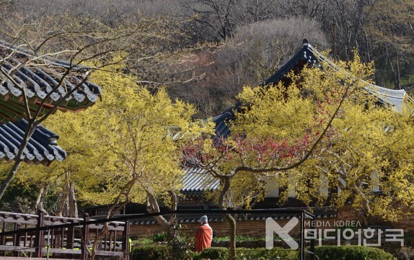 영원 : 자신의 길을 찾는 것