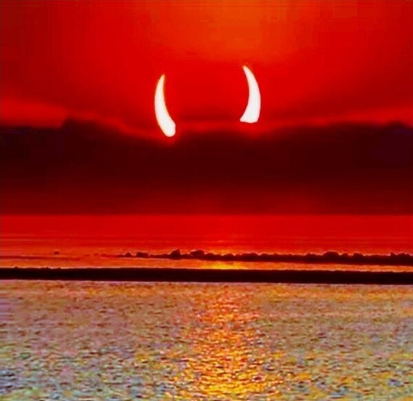 어수선한 세상 별일이?