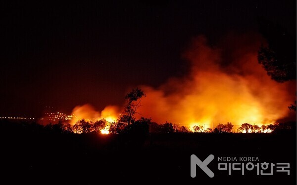 산불 이미지 사진