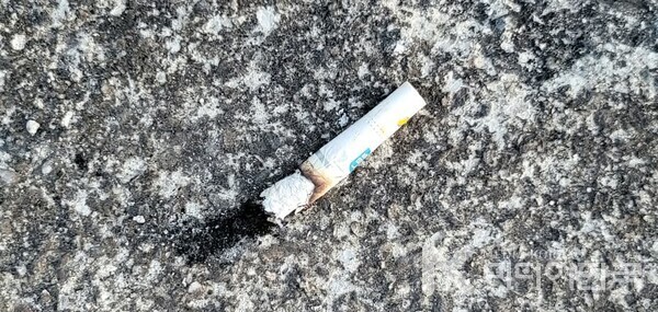 사진 설명: 봄볕과 봄바람에 타버린 담배꽁초다.한마디로 조상을 섬길 줄 모르는 무식의 표본이다.