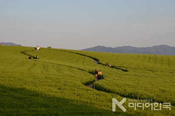 가슴에 담은 힐링