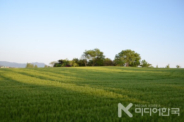 조용한 침묵의 힐링출처 