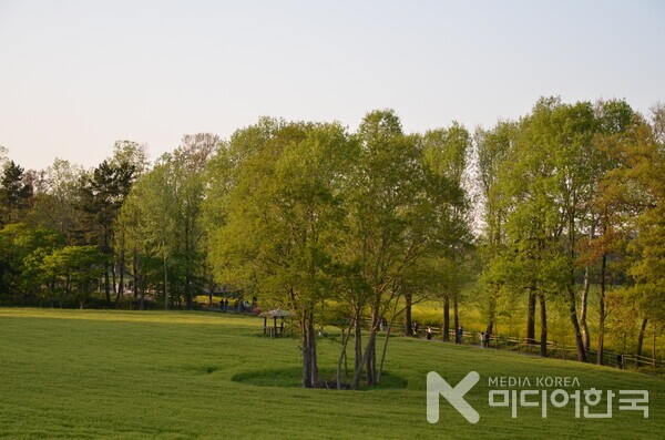 가슴에 초록빛을 품고