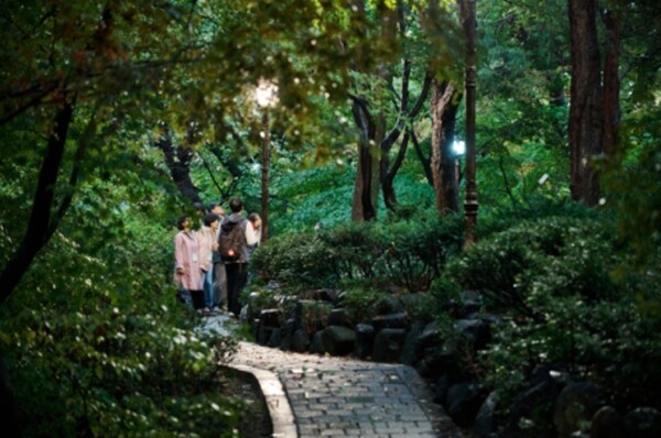 청와대 숲길 명상