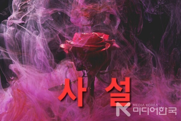 내란 우두머리는  표현의 자유를 막느라 수많은 고발 고소의 비가 내리고