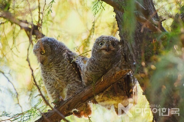 무료 사진 Px제공