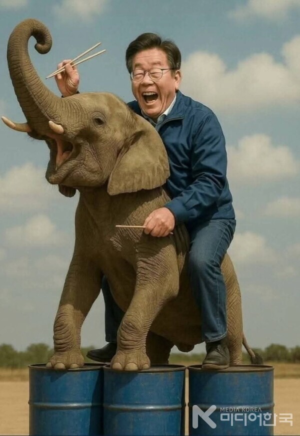 국민네티즌 수사대 제공