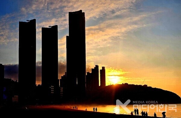 사진. 김종덕 교수 