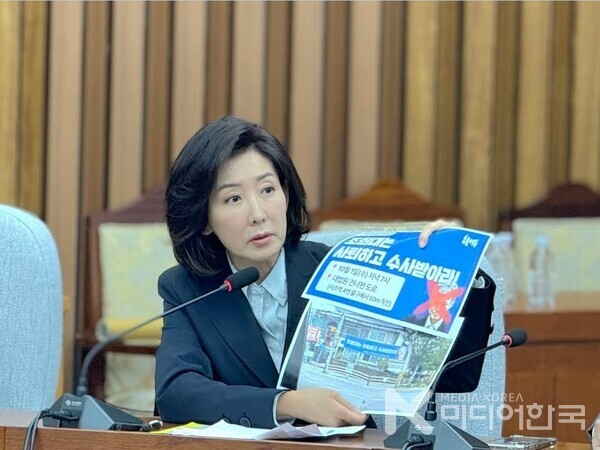 국민의힘 나경원 의원