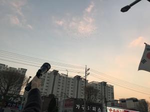 수원시, 떼까마귀 본격대응 나선다.. 순찰반 편성