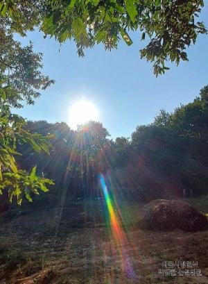 [사고] 제1회 세계빛사진콘테스...서울시정일보  미디어한국 미디어한국TV 주체 주관