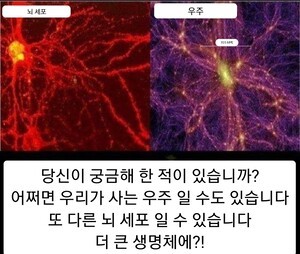 [기자수첩] 인간은 신이다. 다만 분리되어 영적 진화의 여정에서 공부의 길