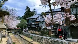 [핫 유튜브] XGR 자본주의 연민 아픔. 일본의 현장