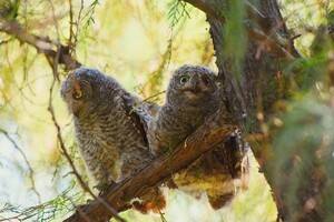 [문화] 이현경 시인의 시 낭송. "내 편"