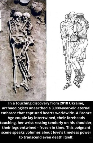 [미디어] 3000년 간의 포옹...생사의 길에서