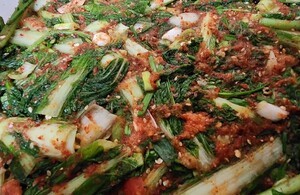 [시인의 방] 이효 시인의 마음산책...열무 농사 실패 끝에 성공