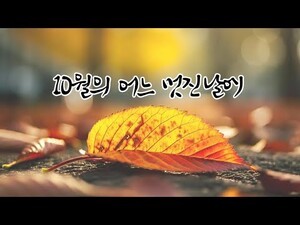 [Plailist] 곽은영 기자의 오늘의 핫 뮤직. 추억이 머무는 노래 LP듣기...10월의 어느 멋진 날에